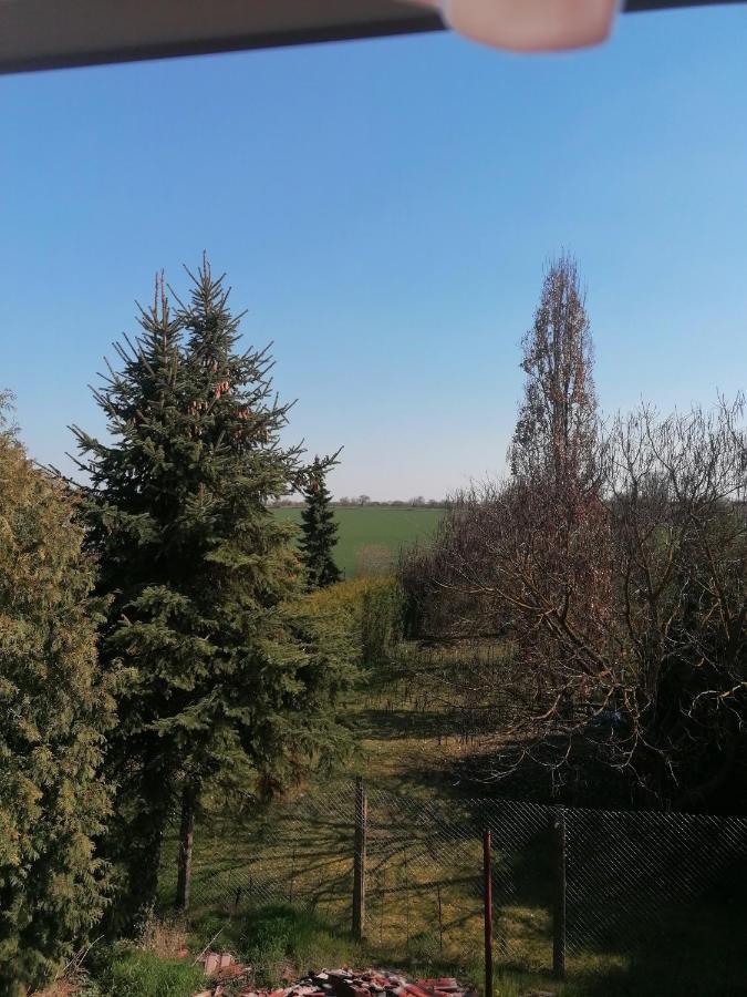 Ferienwohnung IV Sarrebriese Wanzleben-Borde Exterior foto